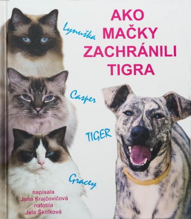 AKO MAČKY ZACHRÁNILI TIGRA